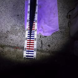 今年最後のタチウオ釣行。