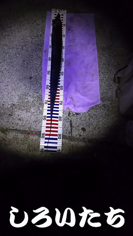 今年最後のタチウオ釣行。