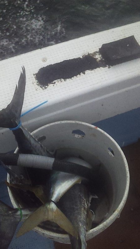 ジギング五目釣り