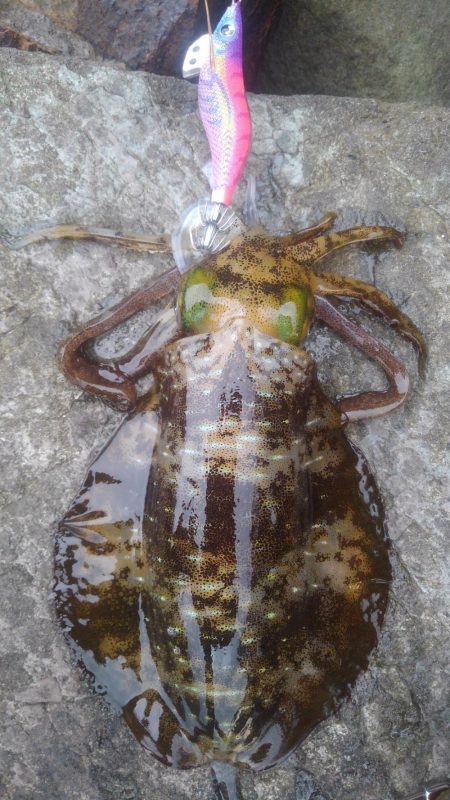 やっちまった～