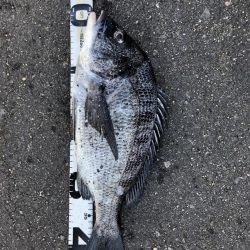 イチノ兄弟、釣果！