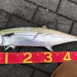 ベストコンディションな日に