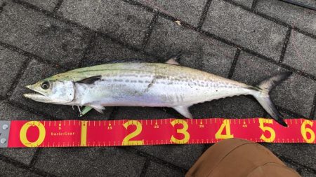 ベストコンディションな日に