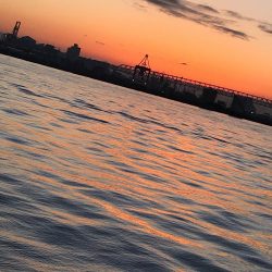 朝マズメのタチウオ調査からのショアジギ