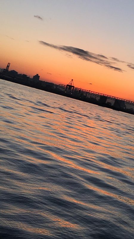 朝マズメのタチウオ調査からのショアジギ