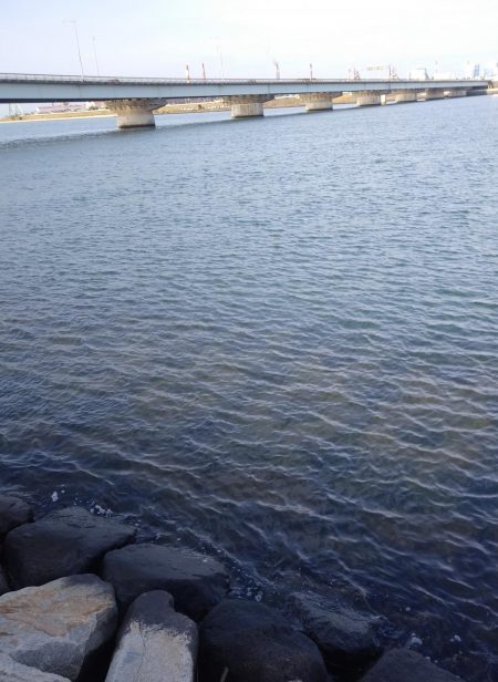 フラットフィッシュゲームNo.6