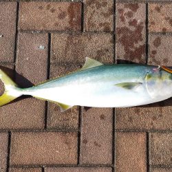 やっぱりスプーンが好きかも