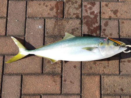 やっぱりスプーンが好きかも