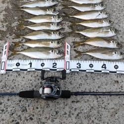 ニュータックルのシェイクダウン