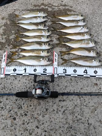 ニュータックルのシェイクダウン