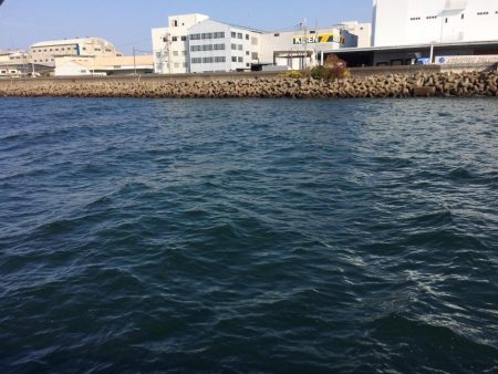 エサ無しサビキ