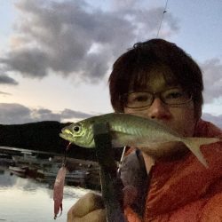 フラッシングフックをアジングで!