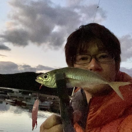 フラッシングフックをアジングで!