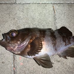 短時間メバリング