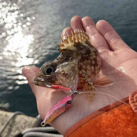 堤防でライトなショアジギングにRIDE ON!