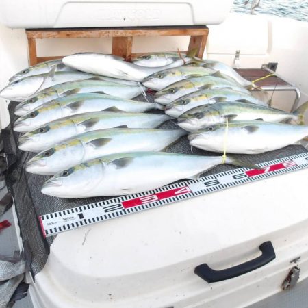 遊漁船SOUTH(サウス)釣果