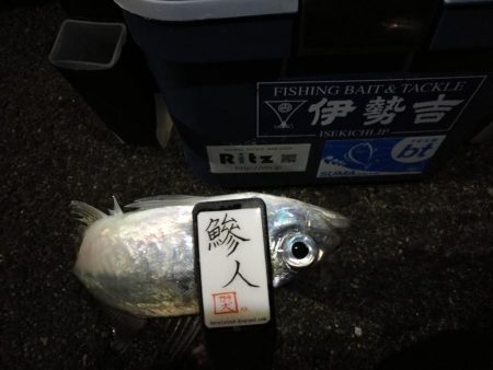 （2020/12/02 南港アジング　 良型アジ来た！アジング釣果 中アジ～（28.5㎝～）ガシラ 釣果有り）