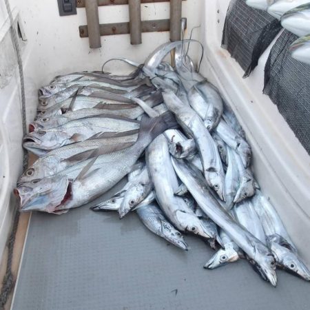 遊漁船SOUTH(サウス)12/5釣果