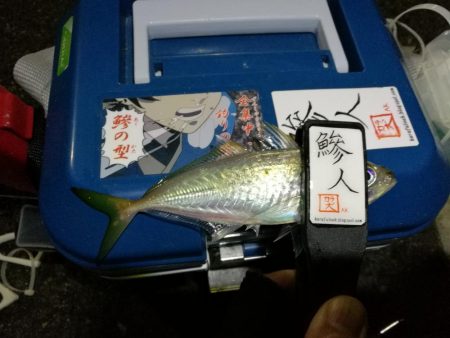 (2020/12/09 南港アジング 好釣果!アジング釣果 中アジ~(27㎝~) 釣果有り)