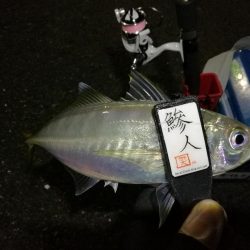 （2020/12/10 南港アジング　 絶好釣果！アジング釣果 中アジ～（28㎝～） 釣果有り）