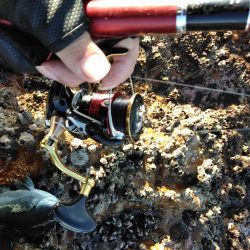 フカセ‥最高ですネ・・