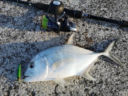 メタルジクでロウニンアジ釣れました