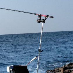 フカセ‥でハゲ・・