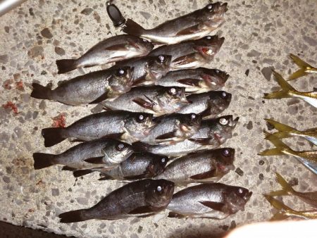 アジは少しだけ