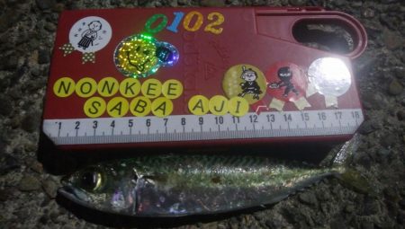 釣りデビュー 33日目