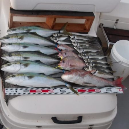 遊漁船SOUTH(サウス)釣果