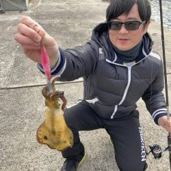 ショアガイドフィッシングでイカRIDEON！