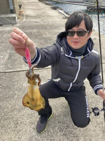 ショアガイドフィッシングでイカRIDEON！