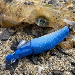 グライドロールでライドオン！！