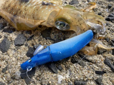 グライドロールでライドオン！！