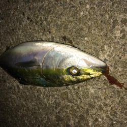 夕方のプチsalt water game!