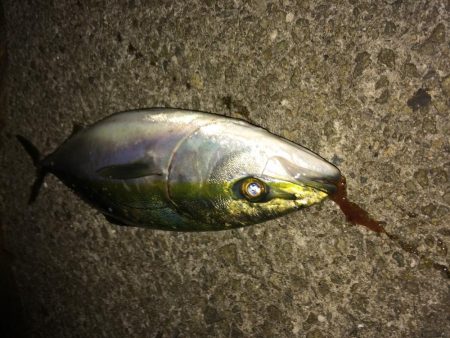 夕方のプチsalt water game！