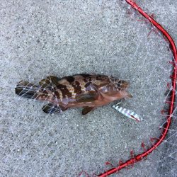 プチsalt water game!