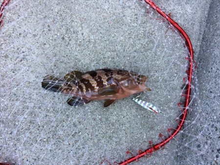 プチsalt water game!