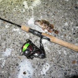 海の年末釣行は貧果だった・・・