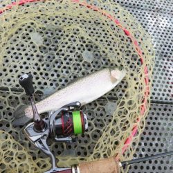 年末恒例東山湖忘年釣行