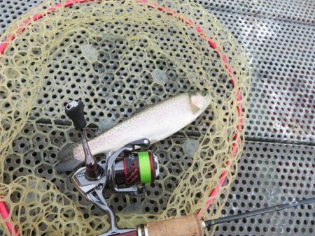 年末恒例東山湖忘年釣行