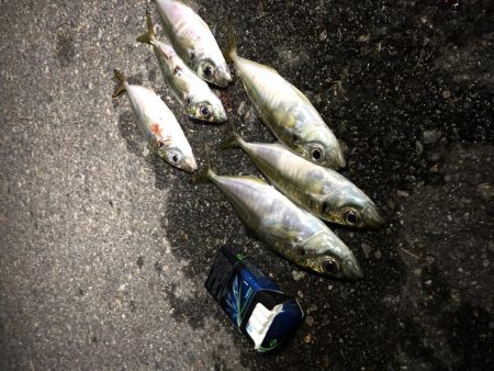 2か所目～　小あじのみ