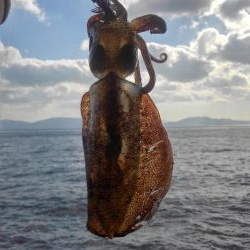 荒れています❗