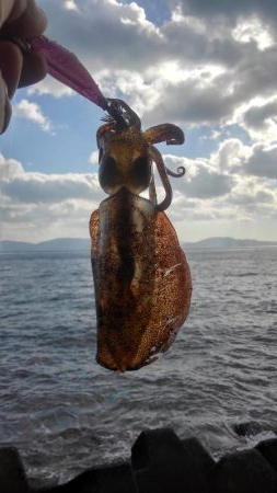 荒れています❗