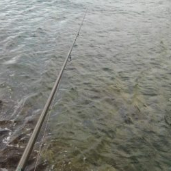 早朝短時間勝負‼️