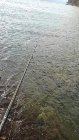 早朝短時間勝負‼️