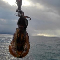 年内最後かなぁ？