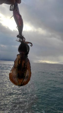 年内最後かなぁ？