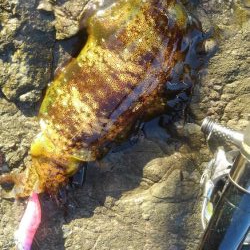 年末最後のあがき❗