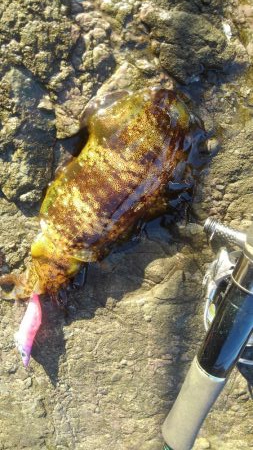 年末最後のあがき❗